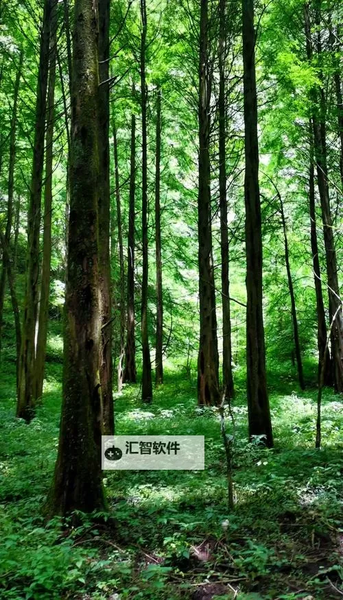 美利自拍偷拍:探索最新潮的成人内容趋势图1