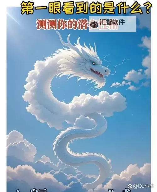揭秘天空龙为什么叫二五仔?背后的故事与寓意图1