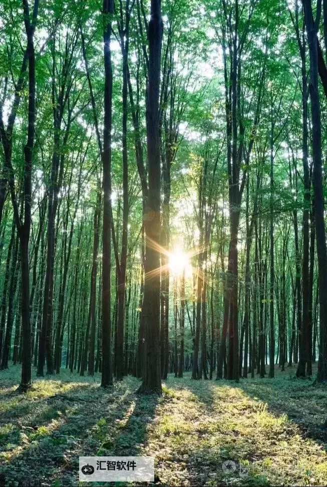 国产区校花级大学美女酒店风采大赏：青春与优雅的完美邂逅图1