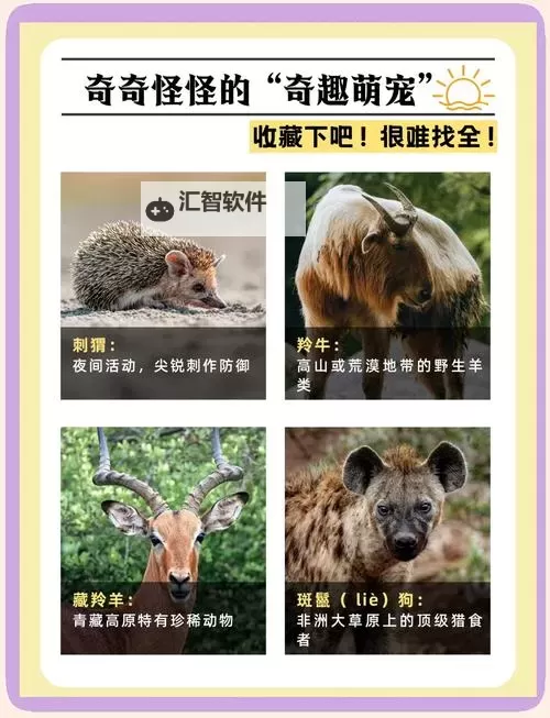 最新LASTDAYONEARTH动物揭秘：地球最后的动物奇迹图1