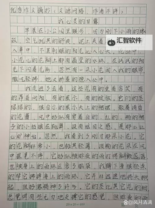 语文课代表的胸软软的作文：心灵的柔情与温暖图1