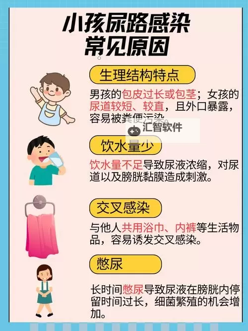 揭秘Peeholeurethra尿孔的结构与健康维护方法图2