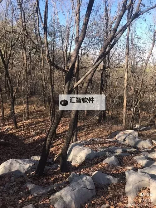 国产区校花级大学美女酒店风采大赏：青春与优雅的完美邂逅图2