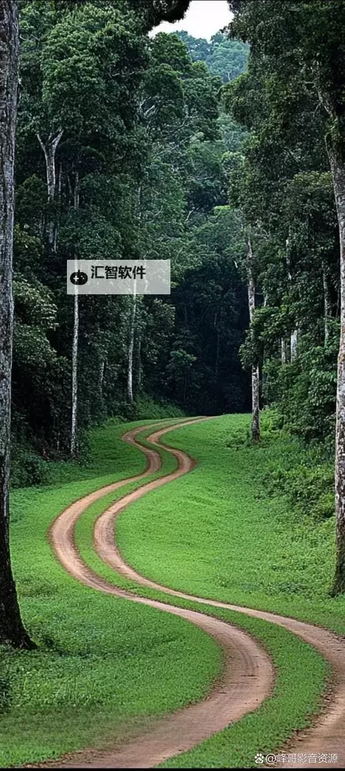 问道贴吧21区合区了吗？最新消息与官方动态解析图1