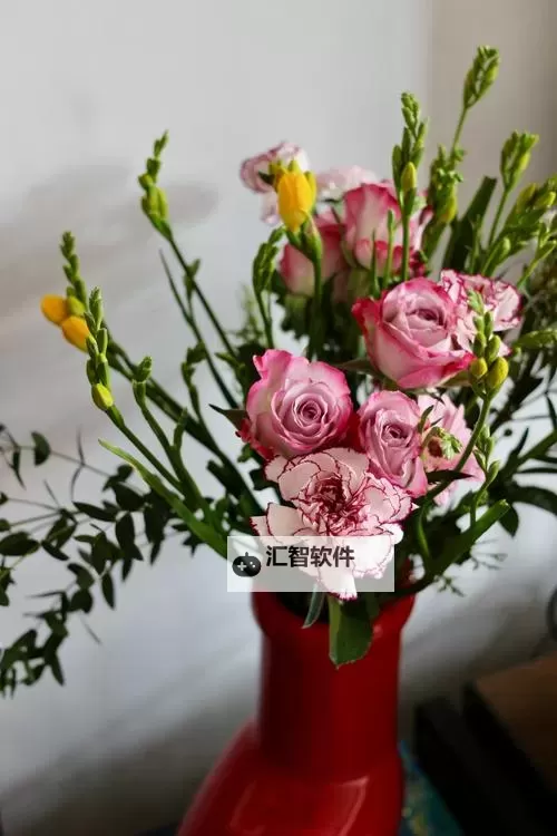 “坚持不懈:天天日天天吃天天干的奋斗精神”图1