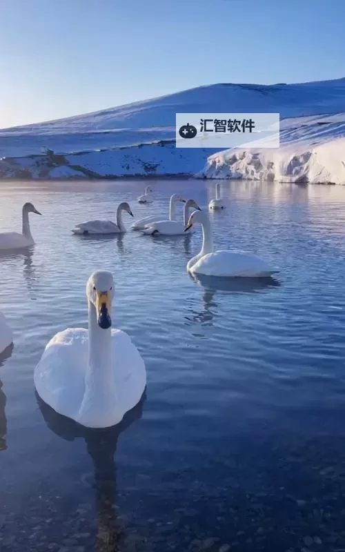 最新一本道dvd更新,高清全集完整版免费在线观看图1