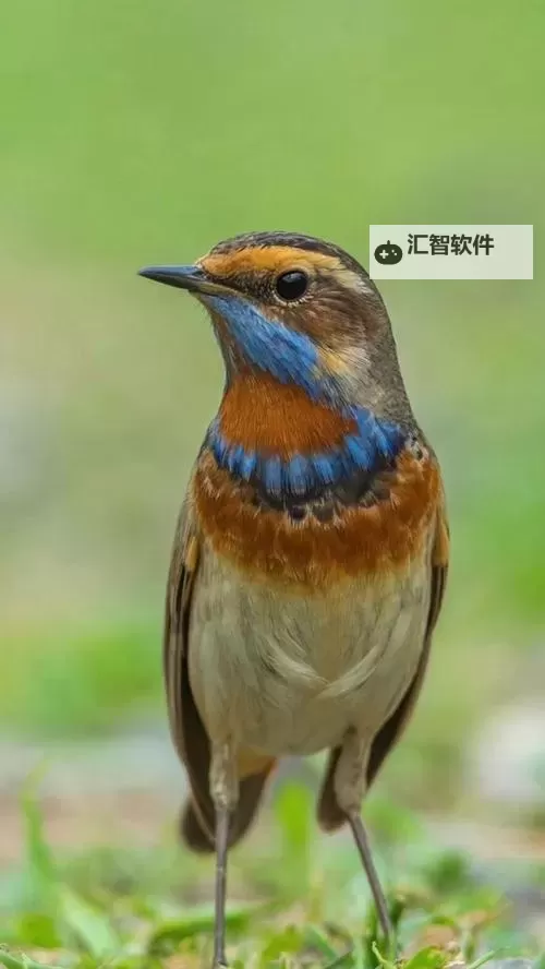 全面解析122wow魔兽发布网：您的魔兽世界资讯与资源首选平台图1