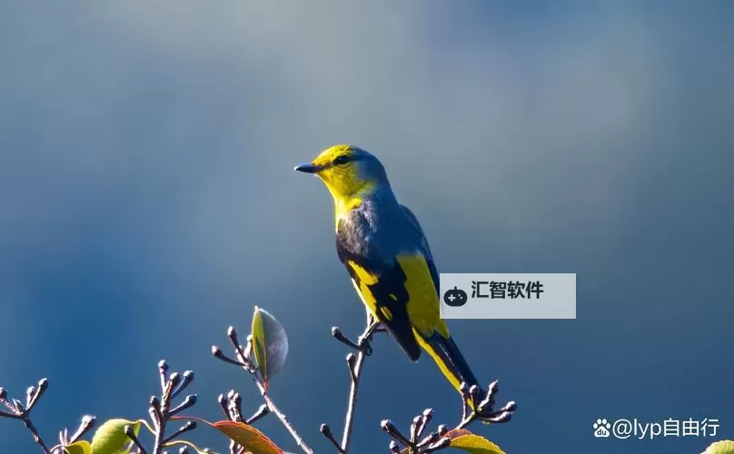 全面解析122wow魔兽发布网：您的魔兽世界资讯与资源首选平台图2