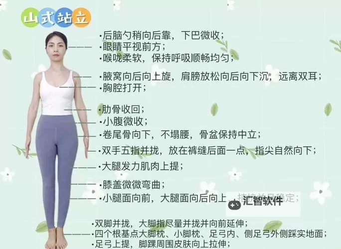 站着从后面是不是要紧一些：探讨姿势与效果的关系图1