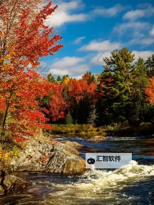 马穆鲁克骑兵：中世纪伊斯兰世界的忠勇战士图1