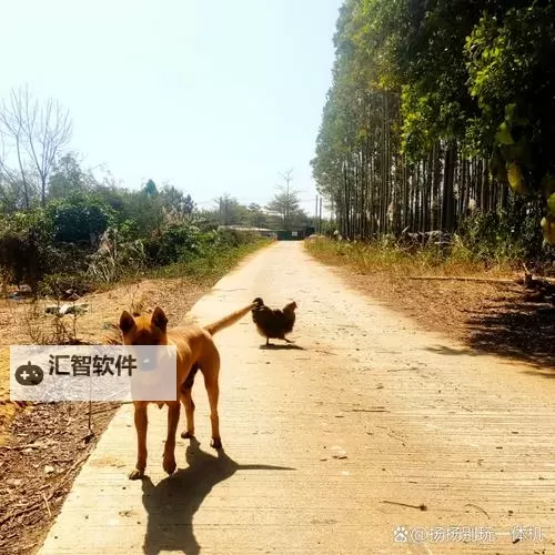 做我的狗(双)_(牡丹莓莓)_：用宠溺守护彼此的温暖故事图1