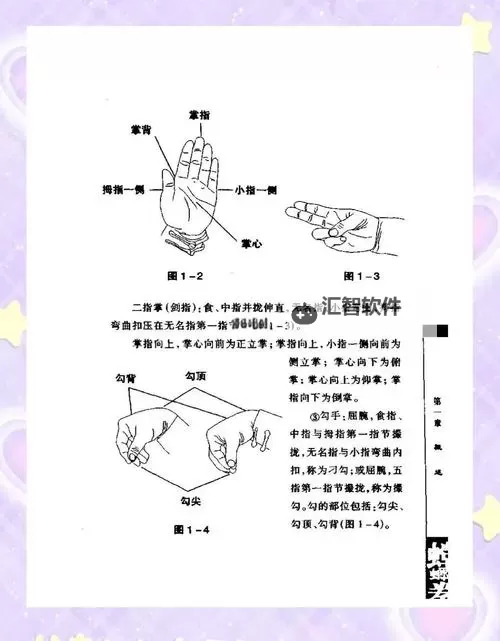 掌握螳螂团战技巧：制胜策略全解析图1