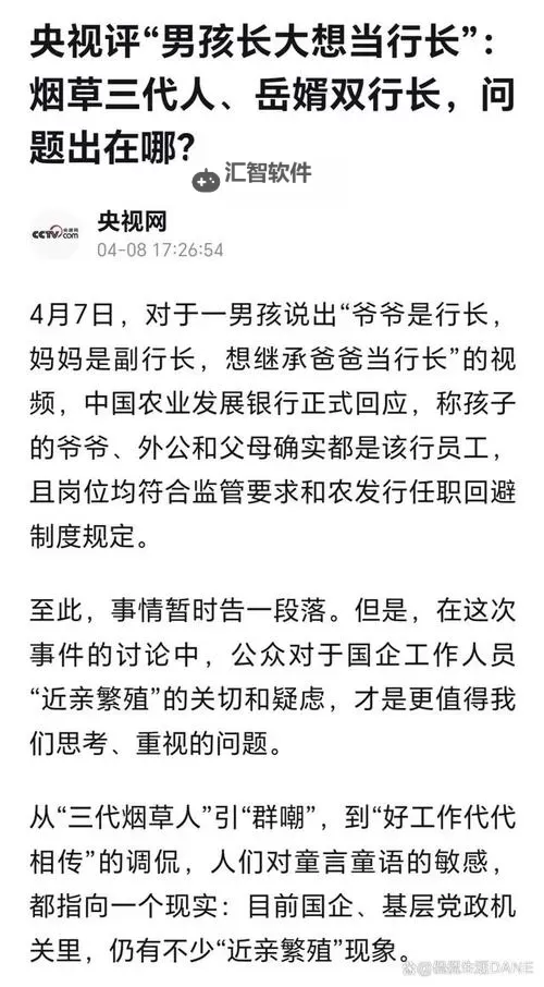 岳婿双行长的问题出在哪：案例分析与深度剖析图1