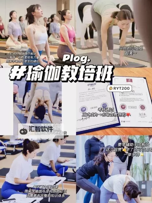 提升自我：瑜伽教练3全面解析与实战指南图2