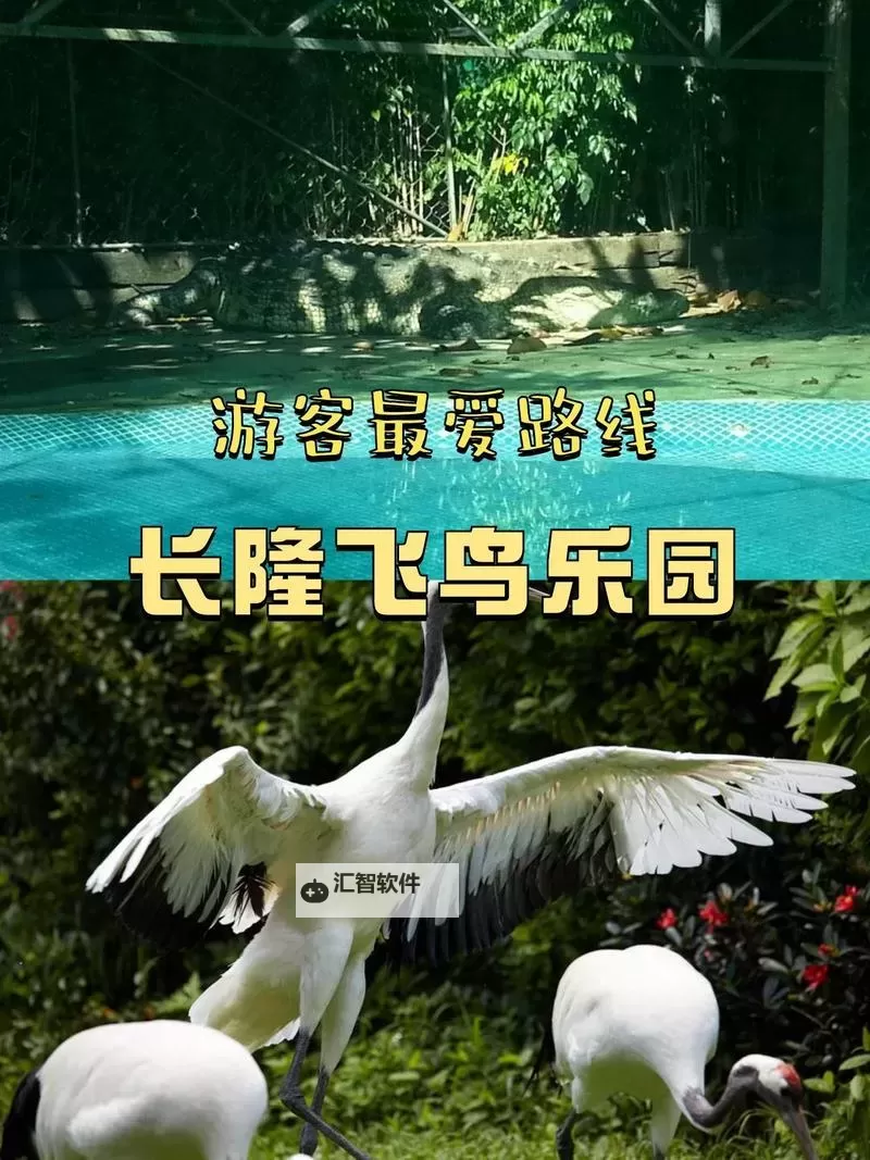 探索无限欢乐：让你天天爽天天拍拍的精彩体验图1