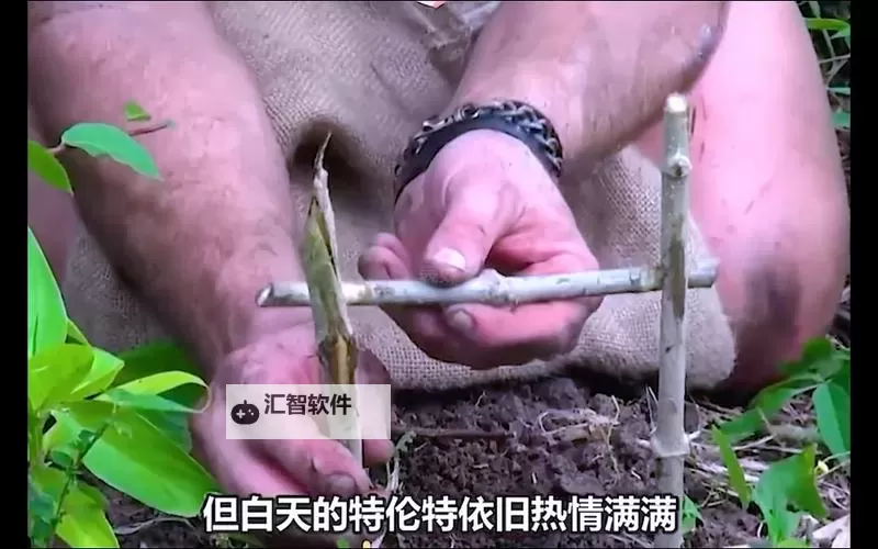 荒野求生21天美国原版免费播放：真实生存挑战全纪录图1