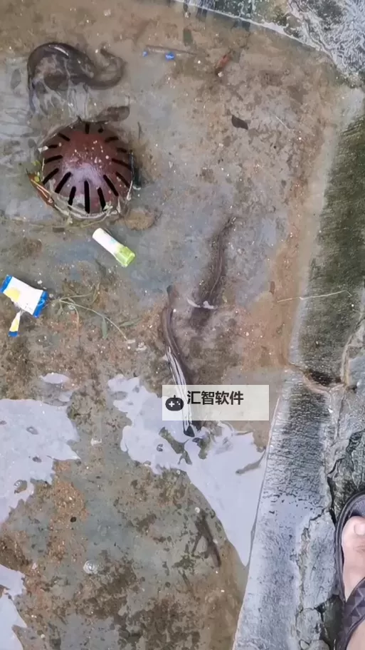 《无限暖暖》胡子鲶鱼获取方法 胡子鲶鱼怎么获得图1