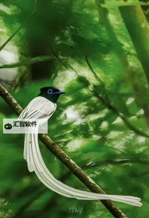 造梦西游三玉净瓶使用攻略：玉净瓶怎么用详解图2