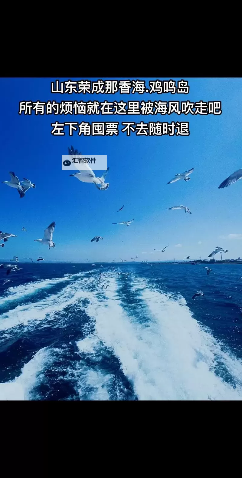 海角网：千万原创资源免费看，让你的创作无限可能图2