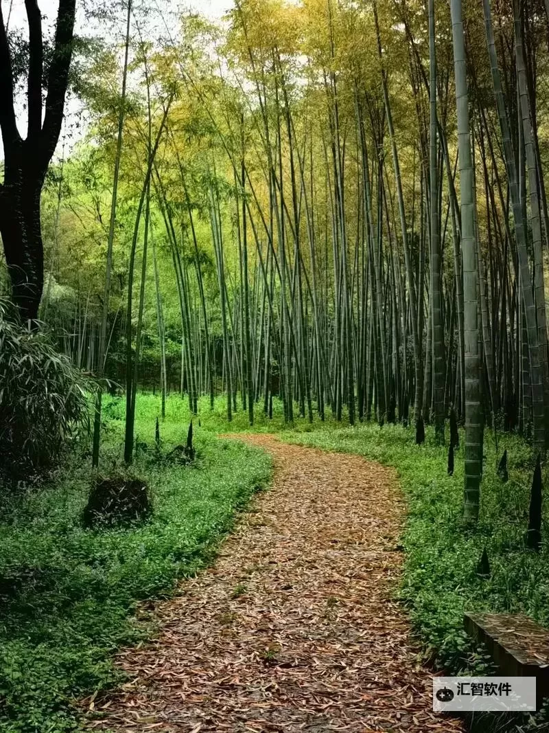 有没有脑洞大大大双开软件推荐 深度解答如何双开脑洞大大大图1