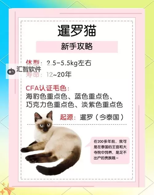 《文明7》暹罗特点介绍 暹罗特性一览图2