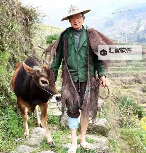 赶牛车的人：那些坚韧不拔的乡村英雄图1