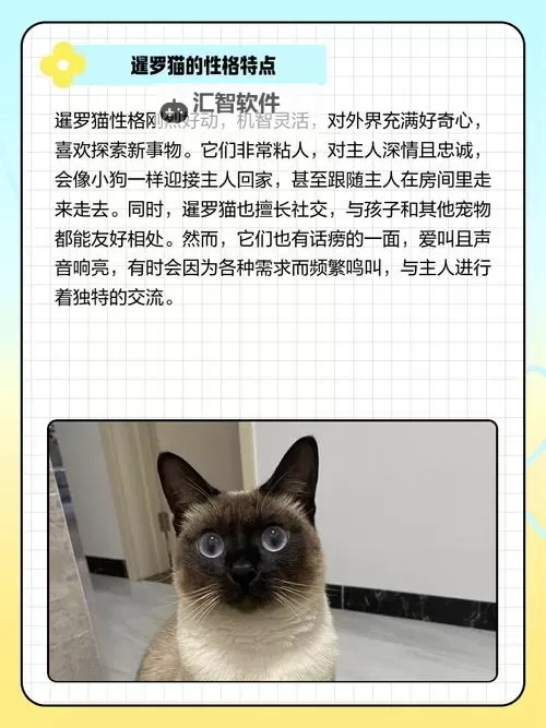 《文明7》暹罗特点介绍 暹罗特性一览图1