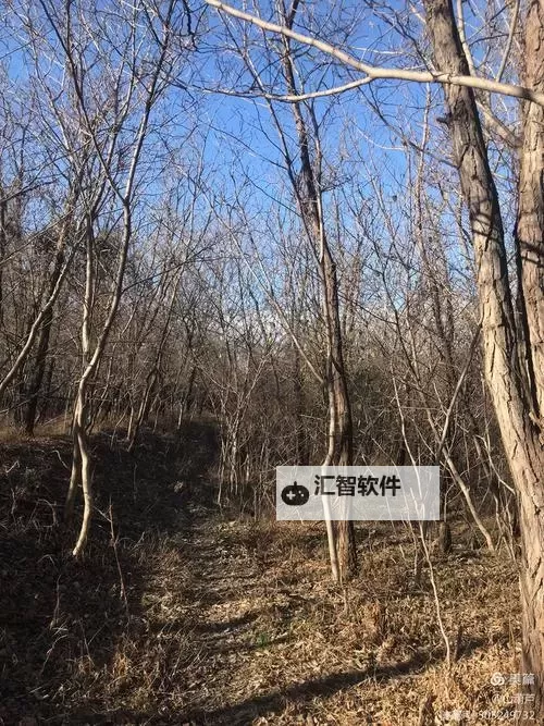 有没有脑洞大大大双开软件推荐 深度解答如何双开脑洞大大大图2