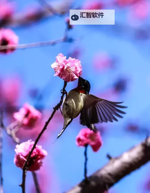 造梦西游三玉净瓶使用攻略：玉净瓶怎么用详解图1