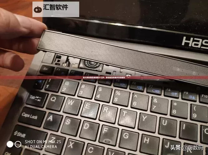 鲁大师在线看片入口免费：免费畅享高清影视新体验图1