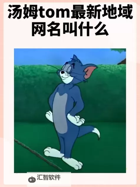 了解汤姆影院最新地域网名，打造个性化观影体验图1