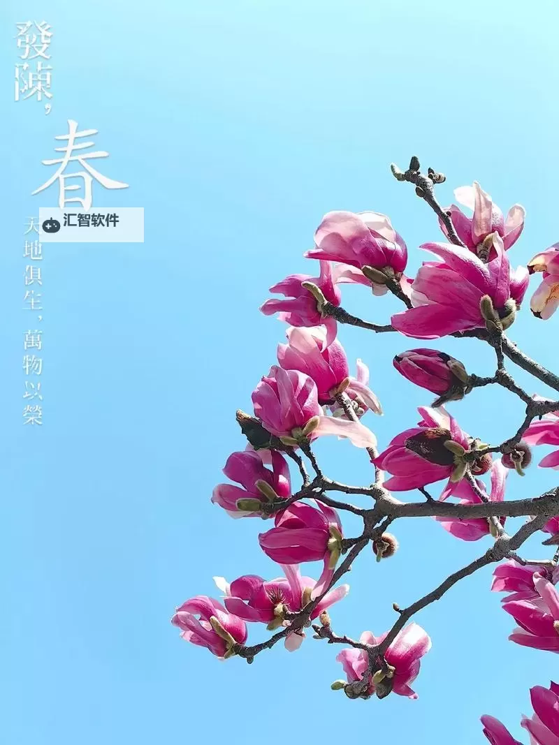 醉美人双开挂机软件推荐  怎么双开醉美人详细图文教程图1