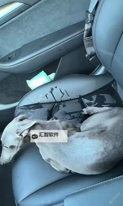 搞机恶心在线看：揭秘那些令人不适的电子产品体验图2