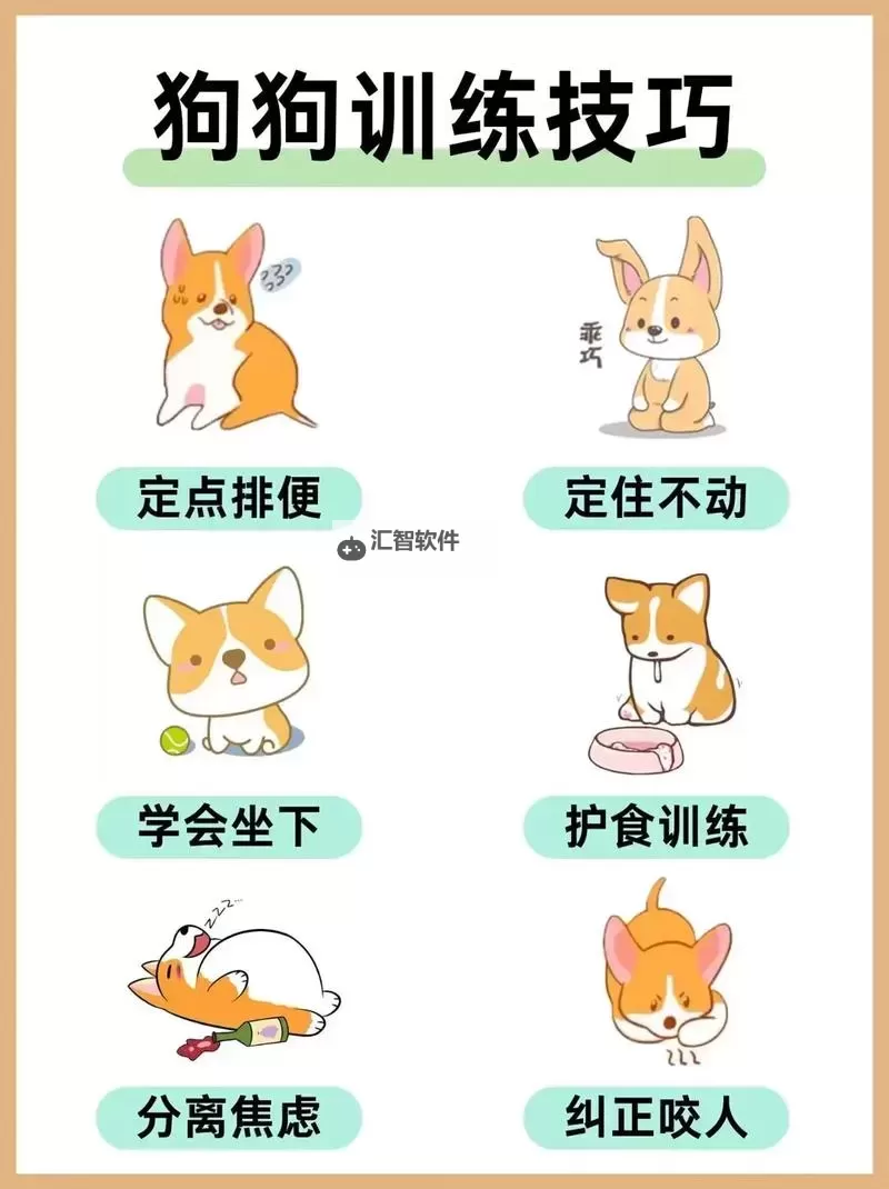 怎样教狗狗进入自己：有效训练技巧全解图1