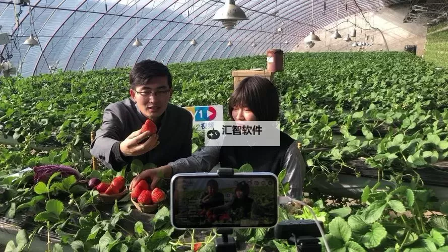 2024年最热门的草莓直播网站推荐与使用指南图2