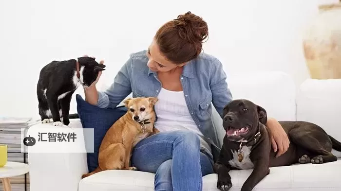 欧美人狗视频播放器在线观看:最新精彩内容同步呈现图1