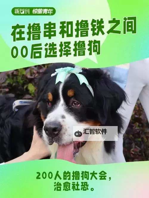 人狗胶配方大全揭秘：有效解决狗狗拔不出来的问题图1