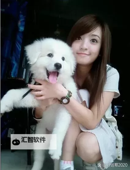 昨晚我和我家狗做了难忘的奇遇图1