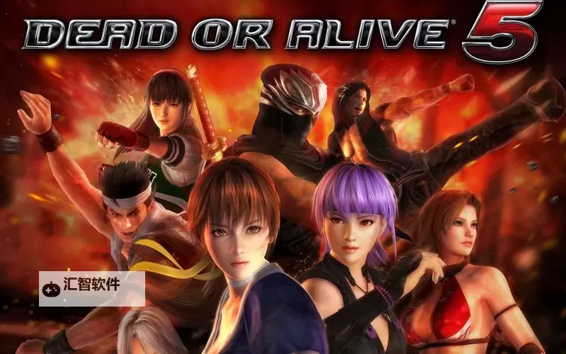 死或生5最后一战 双人组合投技指南图1