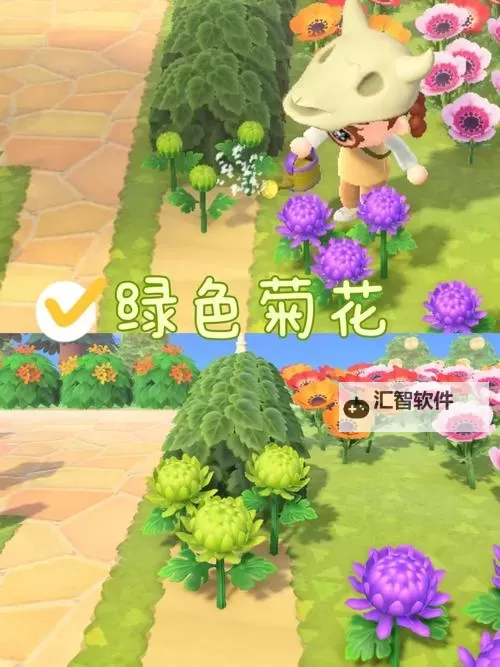 《动物森友会》花朵种植及移植方法 怎么种花图1