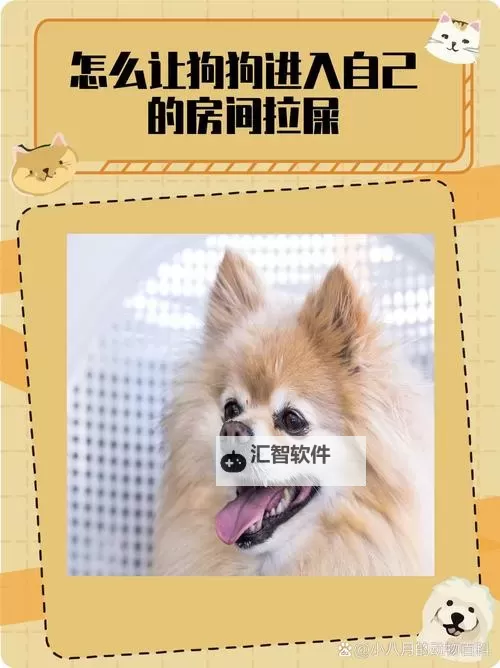 怎么让狗狗进入自己的房间不再困难的方法全面解析图1