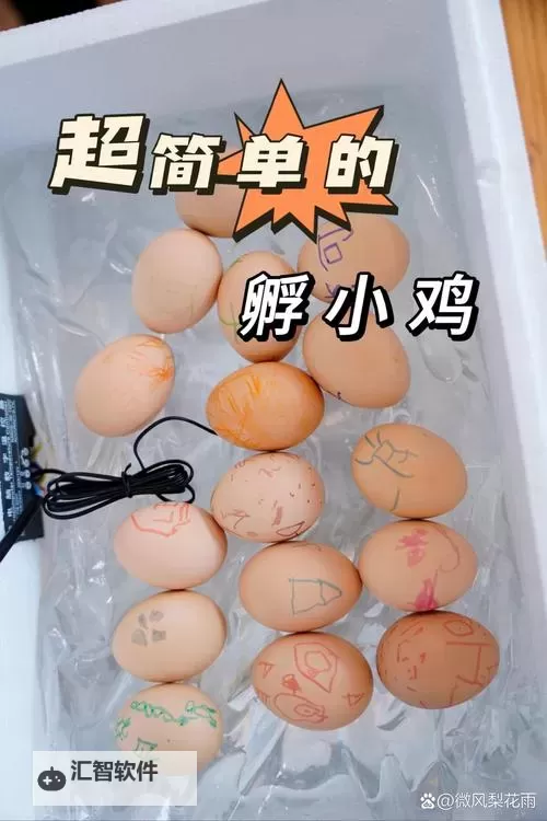 如何轻松掌握：怎么吃到自己的小鸡教程攻略图2