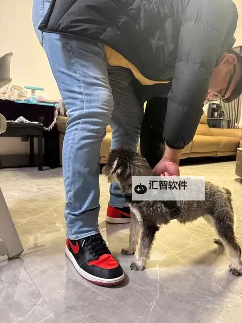 掌握细节提升技巧：完整做AJ的技巧视频教程大揭秘图1