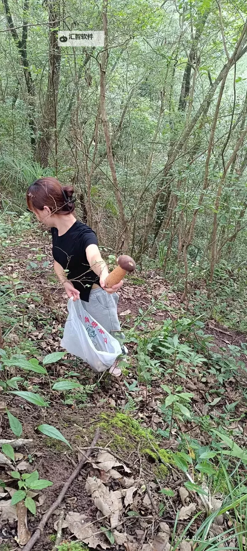 《啊啊啊好舒服蘑菇视频：带你体验极致的放松享受》图1