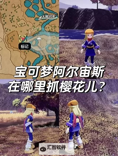 《宝可梦阿尔宙斯》先制打手宝可梦整理图1