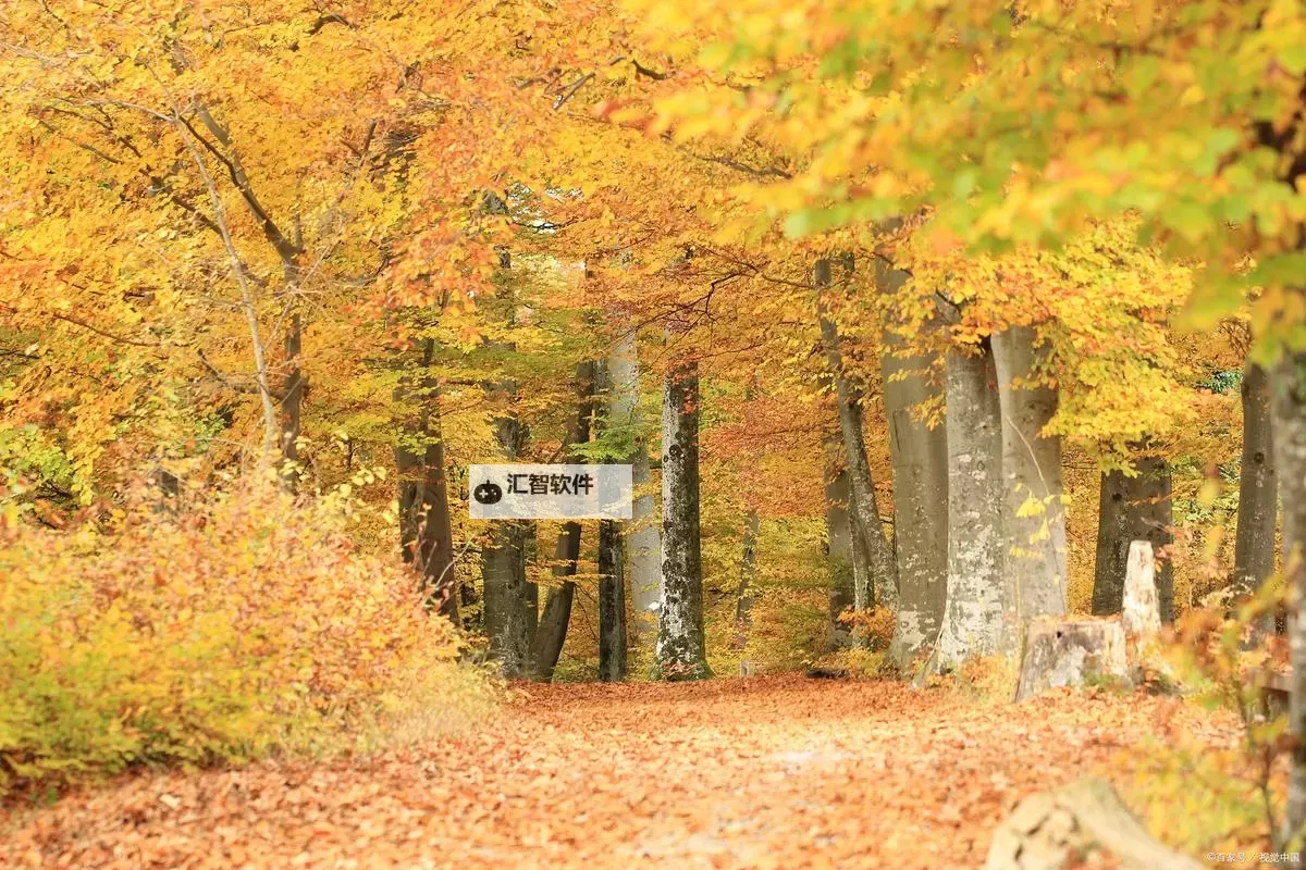 《原神》追溯求真第三关答案 3.6海龟汤第三关天答案是什么图1