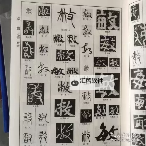 探索奥秘：全面解析中国体内精汇编3的最新研究成果图1