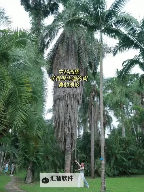 主人被自家牛怼上树僵持3小时:一场奇趣的乡村“拔河”战图1