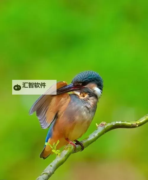 快穿之黄色小说：另类冒险之旅的精彩绘卷图1