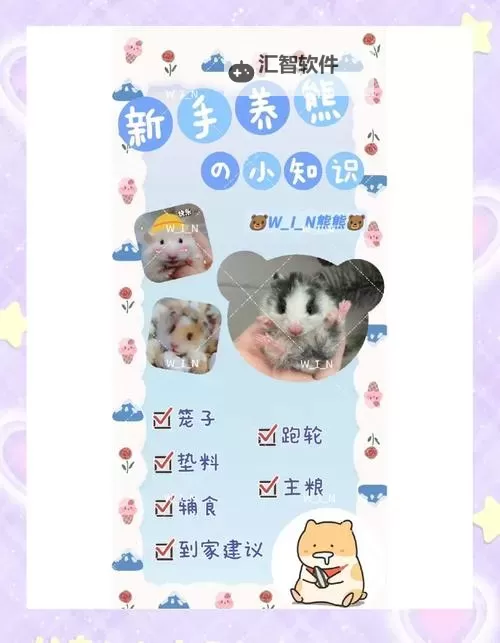 《西普大陆》宠物攻略：遗志哈尼熊养成使用攻略图2